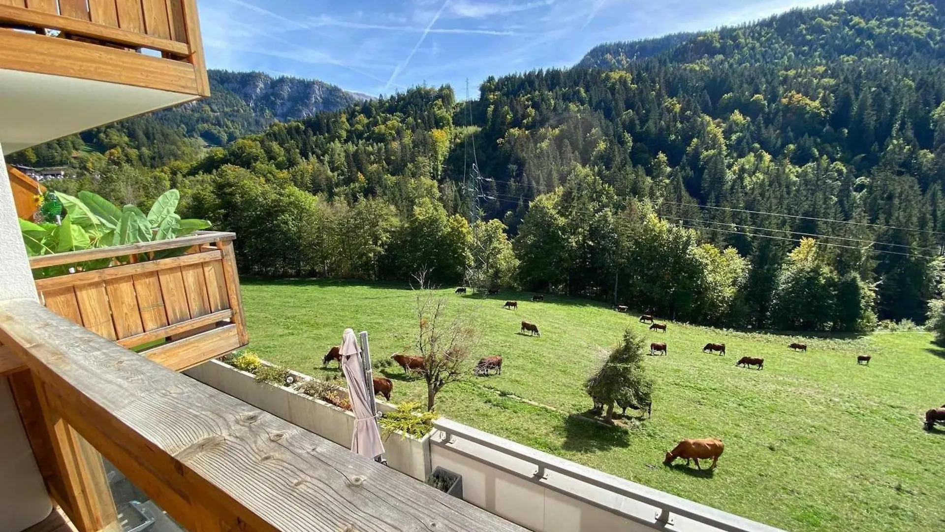 Apartment Charmant Appart 2 Ch + Coin Nuit, Balcon Sud, Garage, Pres De La Clusaz Et Commerces, St Jean De Sixt - Fr-1-459-195 Saint-Jean-de-Sixt